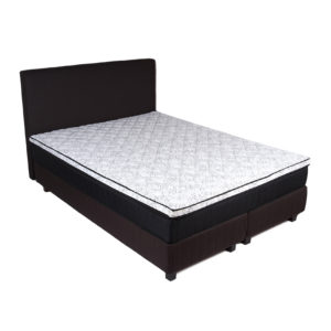 Read more about the article DREAM ECONOMY KONTINENTALSENG